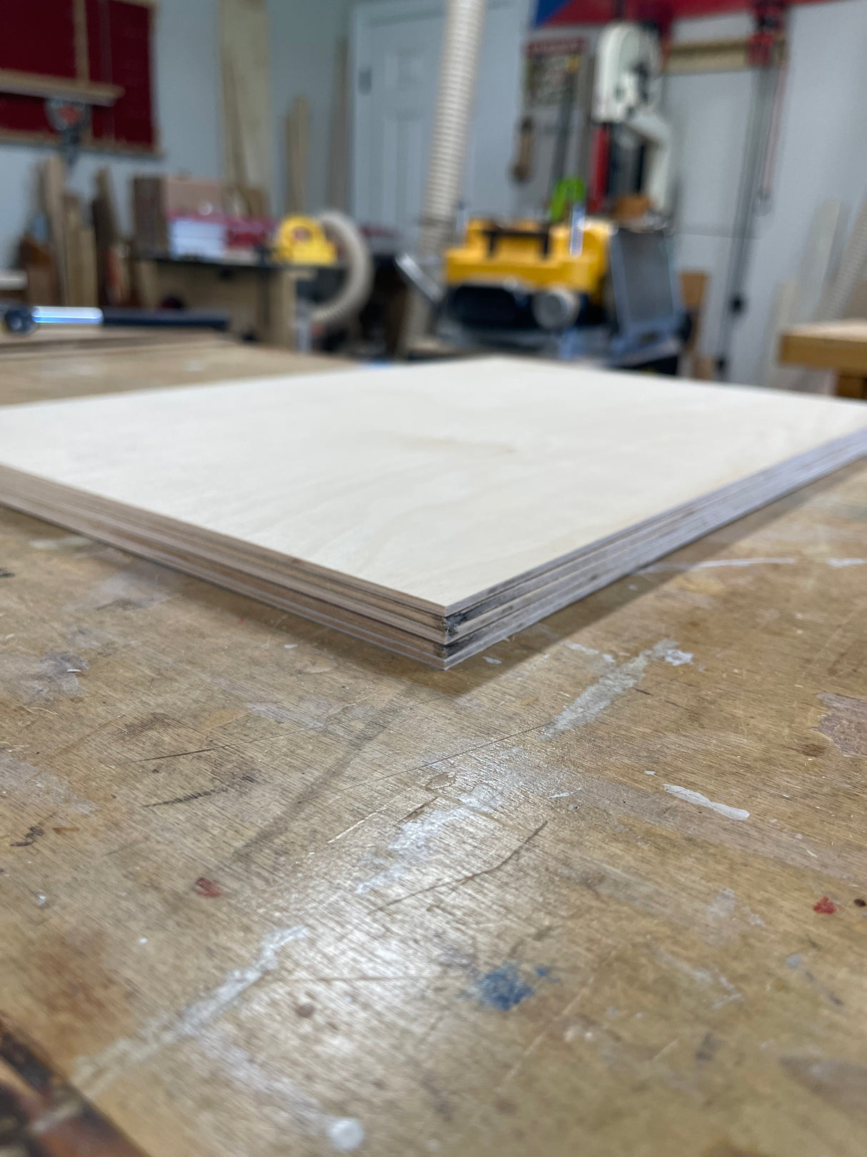 Baltic Birch 1/8" (Pack of 10)