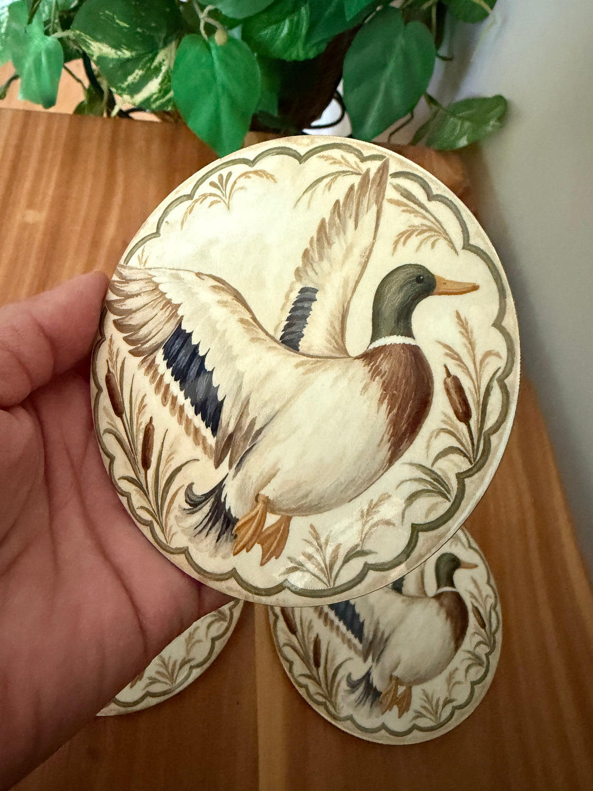 Circle Mallard Coasters