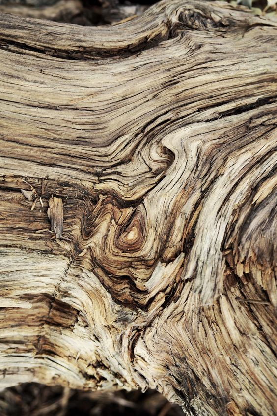 Woodworking Templates AVEL Woodworking