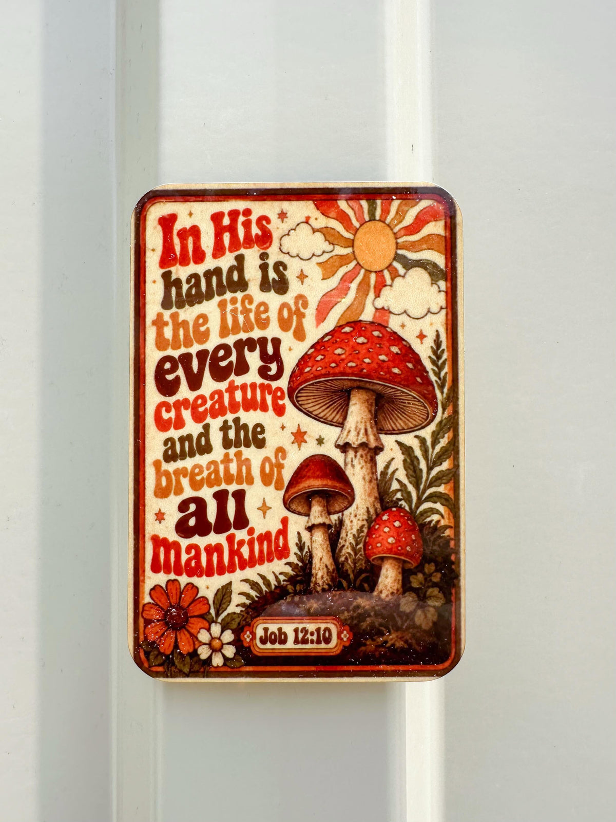 Bible Illustrative Magnets