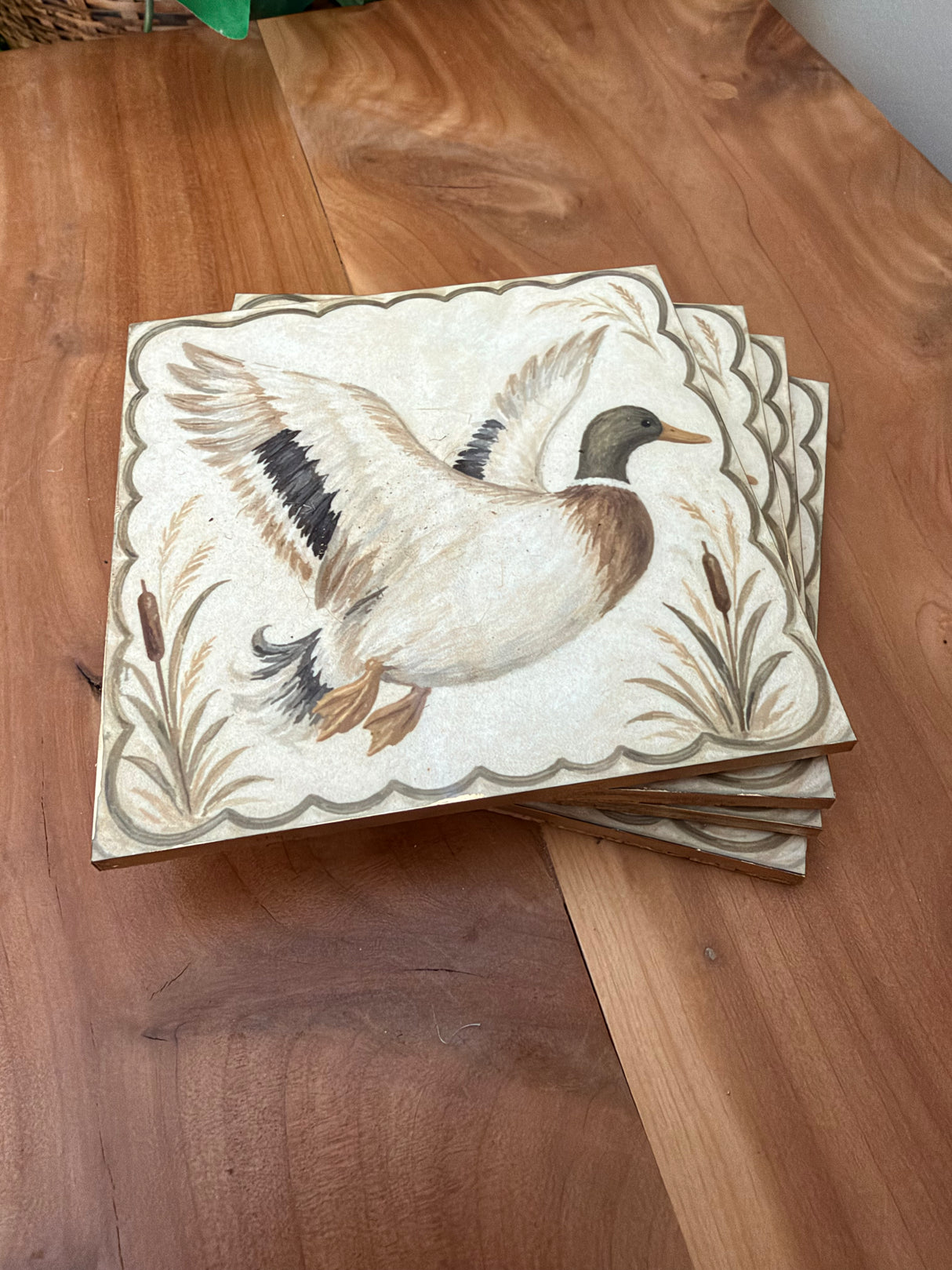Square Mallard Coasters