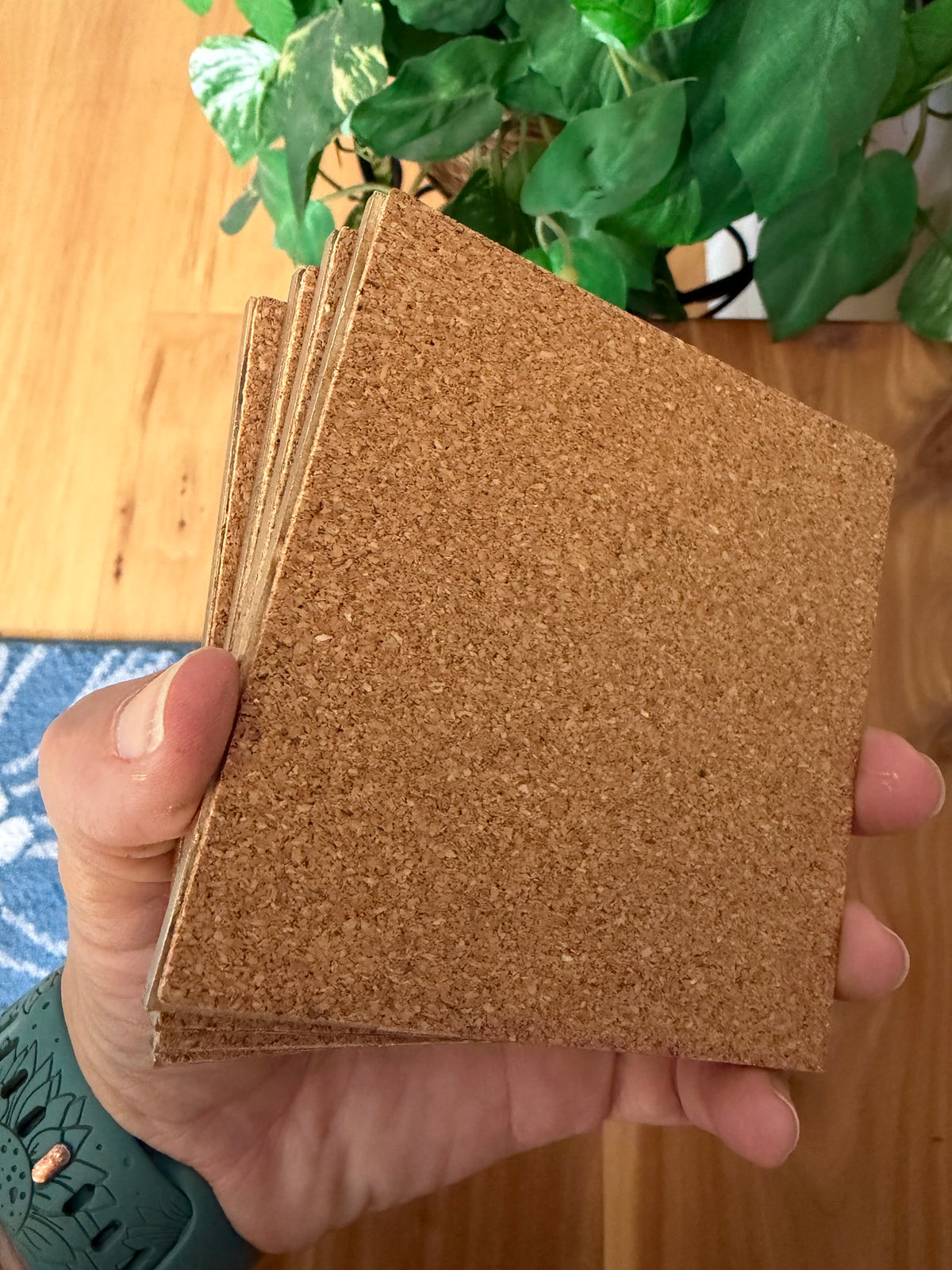Vintage Duck Coasters