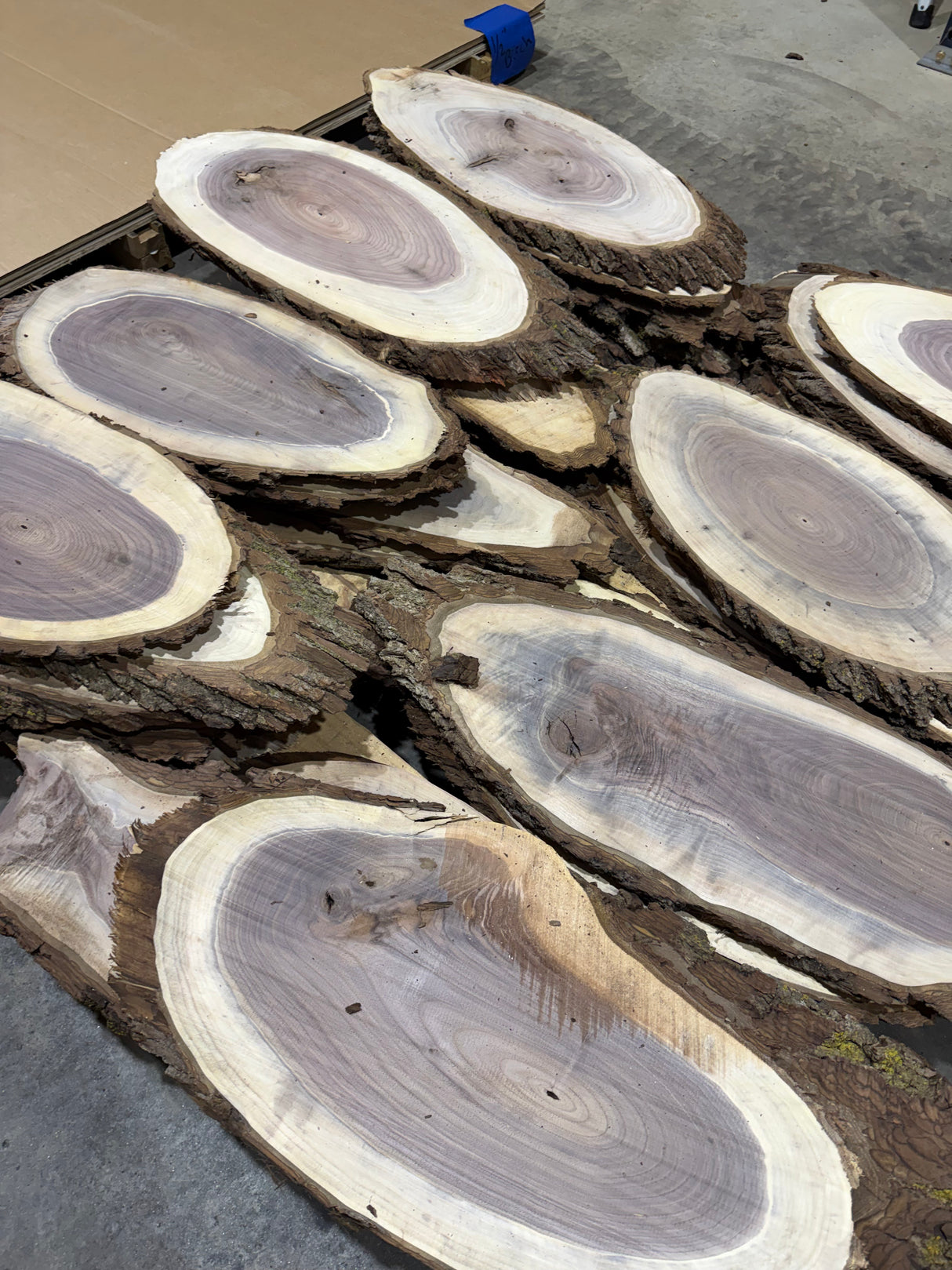 4/4 Walnut Cookie Slab